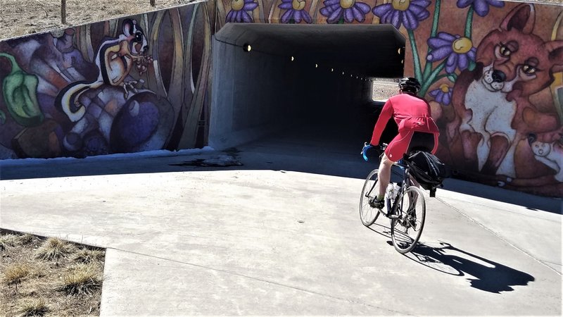 Painted underpass on Big Dry Creek Trail.