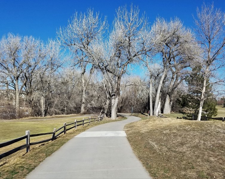 Ralston Creek Trail trees