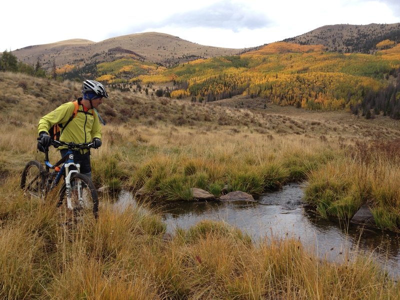 La Garita Creek meadow.