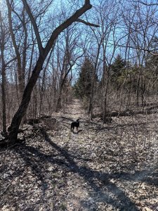 A nice straightaway towards the North loop