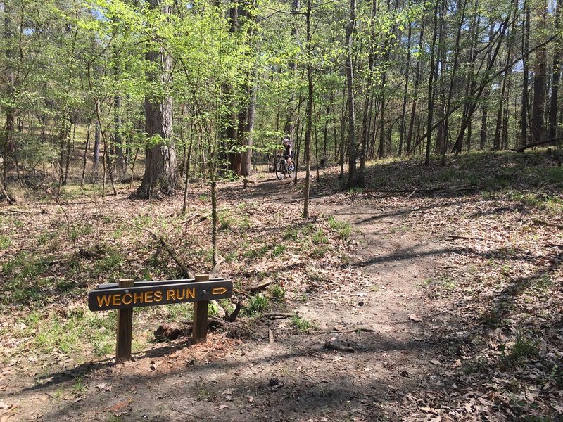 This is the spot where Weches Run intersects Hardwood Trail.