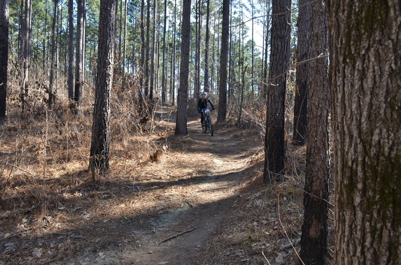 a nice downhill section