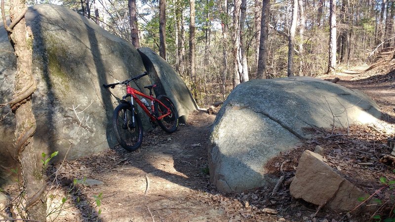 Big boulders on Big Rock trail.