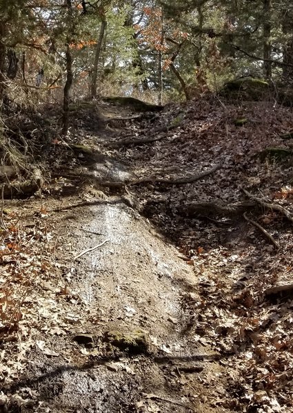 Rugged drop into the rock-garden area of the Orange Trail