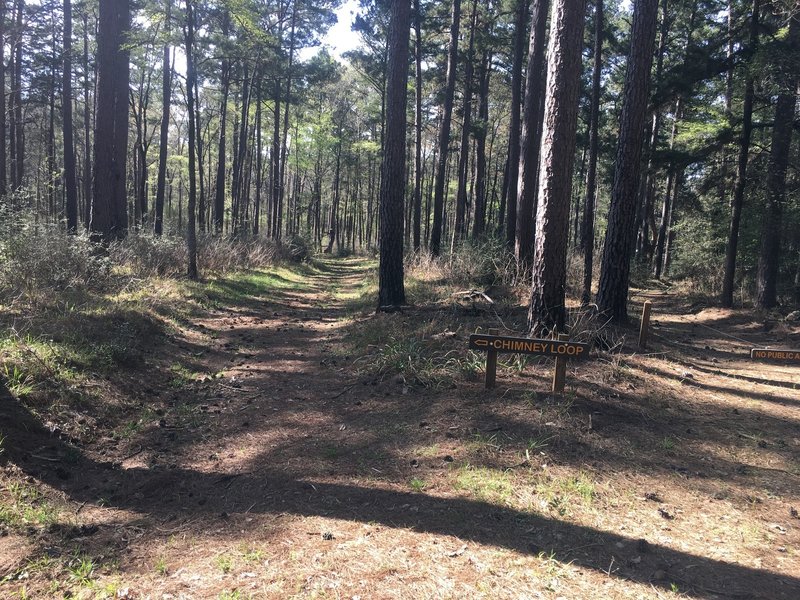 Chimney Loop is mostly open doubletrack like this.