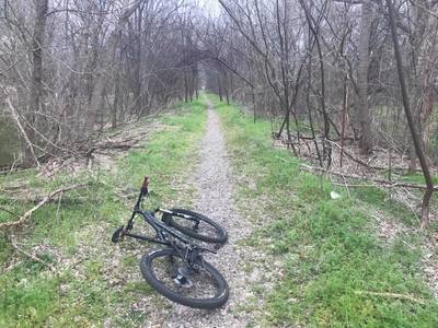 Railbed