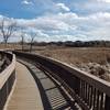 Boardwalk at Sampson Gulch wetlands.