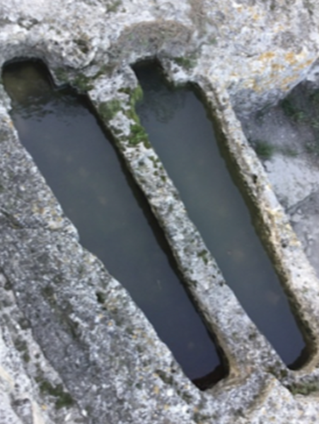 Monk's tombs, carved into the bedrock of the Saint-Roman Abbey.