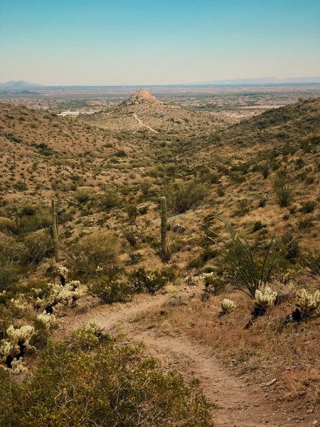 Top of Cholla Run looking towards White Peak