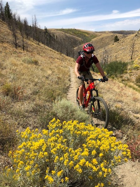 Steep climb up a drainage to start the ride. This section of trail can be hot in summer due to lack of trees/shade.