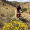 Steep climb up a drainage to start the ride. This section of trail can be hot in summer due to lack of trees/shade.