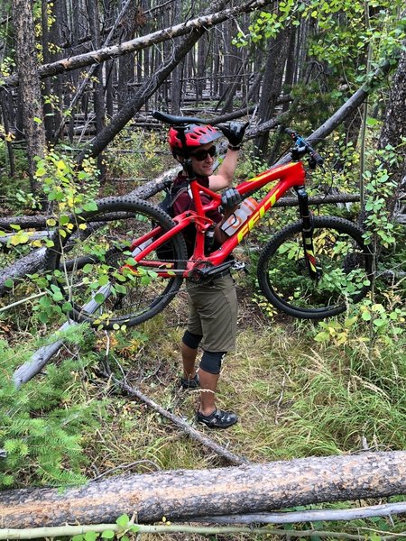 Hundreds of deadfall trees blocking/obscuring/hiding the trail once you're more than 3.5 miles in from the southern trailhead. A true adventure ride if you continue past the 3.5-mile point.