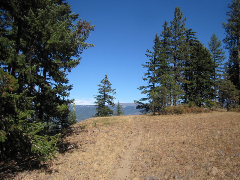 singletrack going down