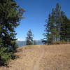 singletrack going down