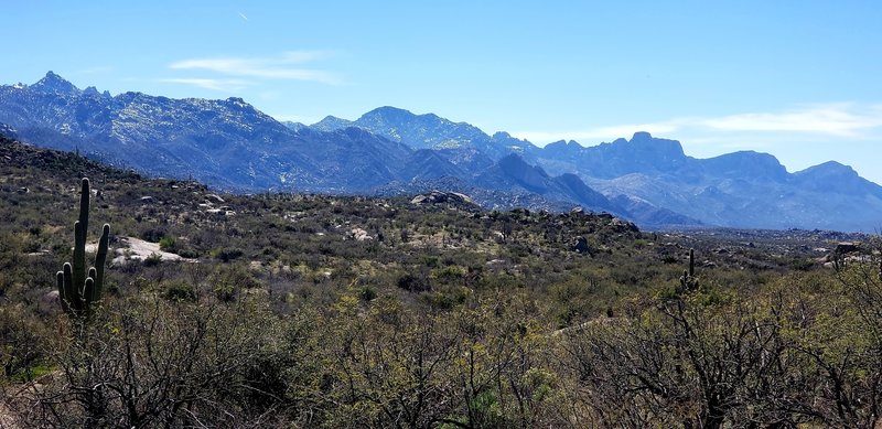 Cowboy slickrock trail looking south