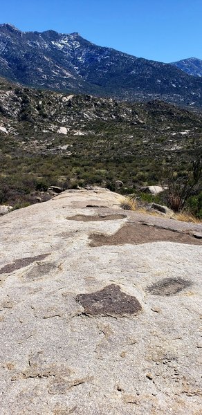 One of a few Slickrock sections of Cowboy Slickrock trail