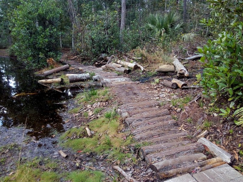 Log bridge on Pine Needle Punch.