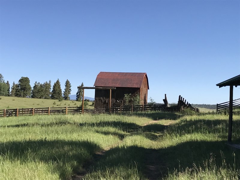 Cheesman Ranch trail.  Such a great ride with spectacular views.  I came back to to ride this trail every morning on our vacation