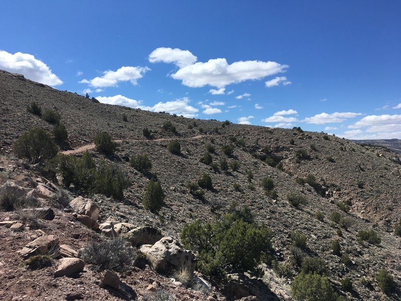 Looking up the Wrangler doubletrack towards the start of the singletrack on the rim.