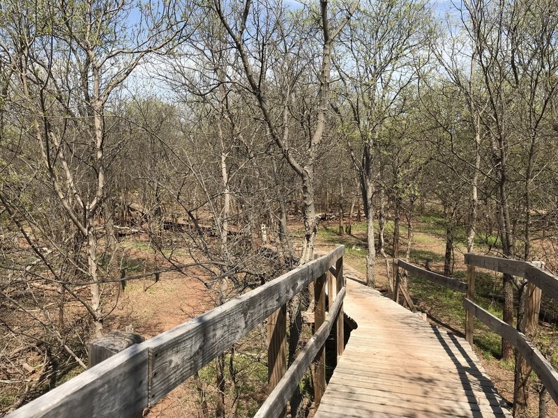 Riding through the treetops