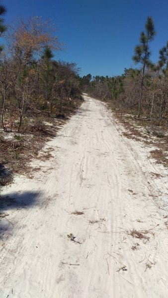 doubletrack sand