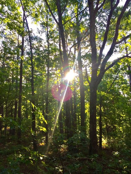 Morning sunshine greets the early risers on trail.