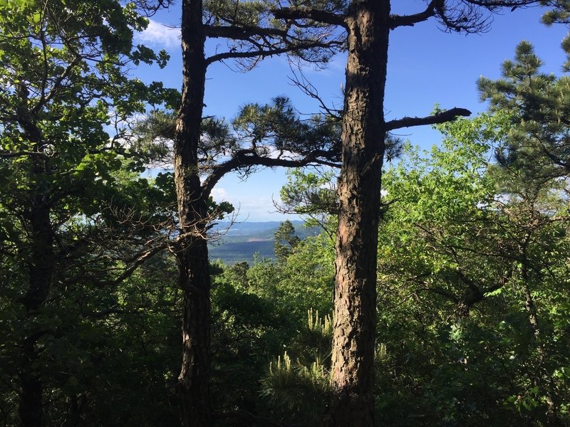 Certain spots on the trail provide a beautiful view of Acorn, home of the Tigers.