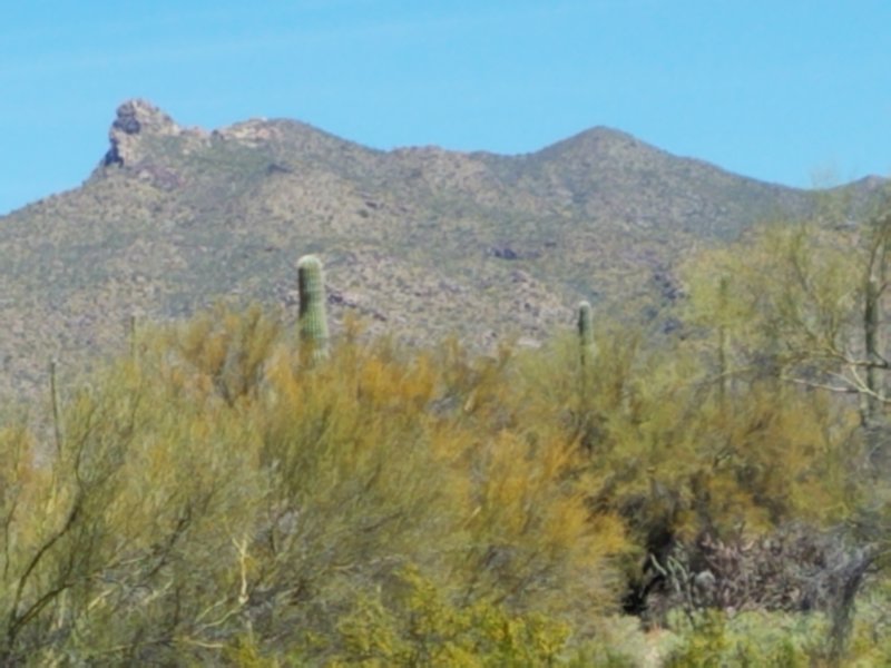 At the baseof the Tortolita Mountains