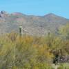 At the baseof the Tortolita Mountains