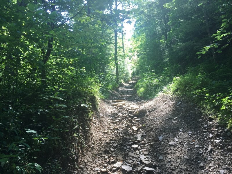 The first climb up onto the ridge from Peabody.