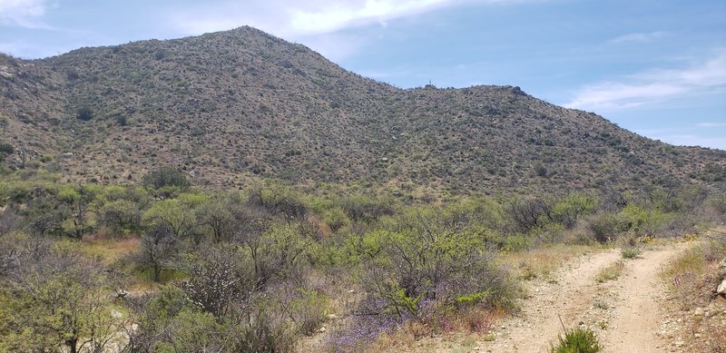 Switchback climb coming up to get atop Ridgeline.