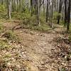 The left trail is the 7th Street Trail which branches off of the Clinton Lucas Trail.