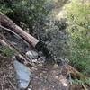 First major fallen tree obstacle near top