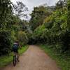 Riding down the road past flowers and in to the canopy