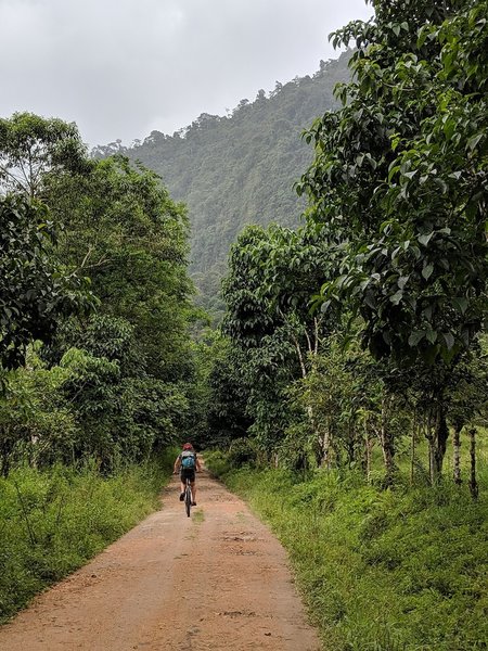 Near the end of the road, surrounded by incredibly vertical jungle landscape.