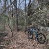 Taking a short break from riding to climb a few rocks