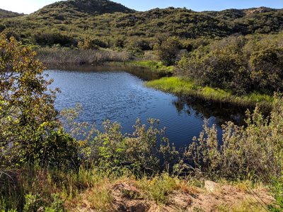 The recent rains have contributed nicely
