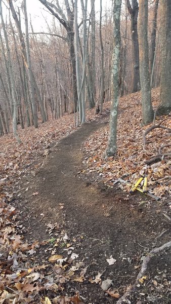 bench cut for the turn after the first flat section