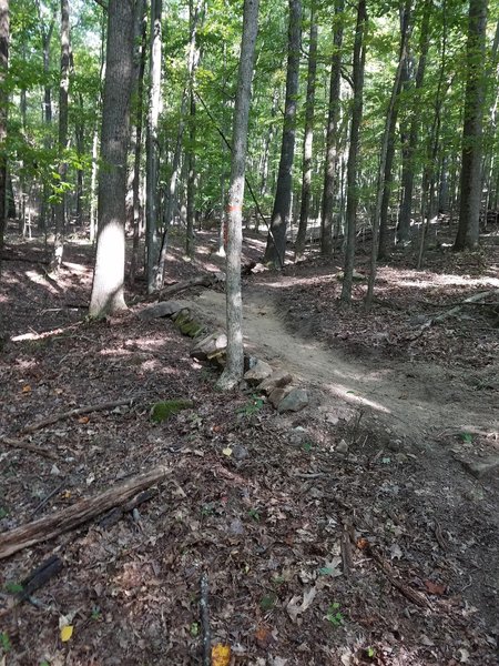 Berm on the whole shebang before crossing Rocky Trail