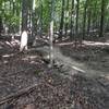 Berm on the whole shebang before crossing Rocky Trail