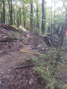 First bench cut at the top of the Whole Shebang