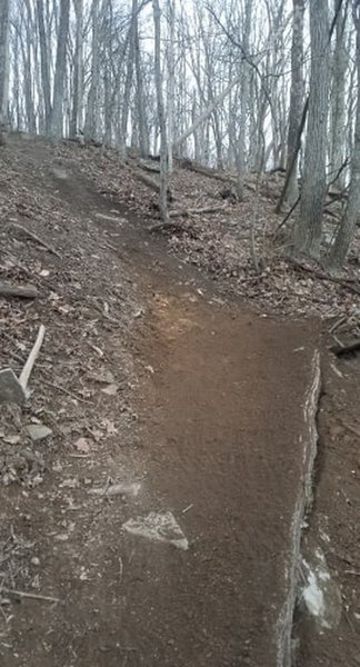 Road Side Trail Chute. Steep. techy turn.