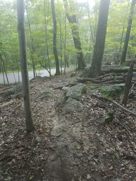 Roadside Rock Garden. Option gap on riders right. case and blow up a wheel