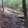 Looking up at the sloped kicker. log has been knotched since to make it ride better.