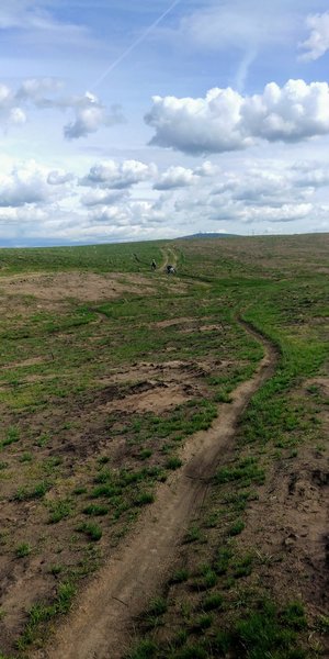 4-20-19 Sage is all gone from the fire, but spring has brought green back into the area.