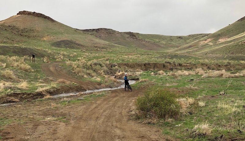 Stuart Gulch at the mouth of Hardtrigger Canyon. Look for the singletrack just beyond the creek and fence.