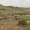 Stuart Gulch at the mouth of Hardtrigger Canyon. Look for the singletrack just beyond the creek and fence.