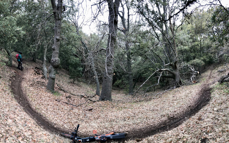 On the upper portion of the Sandberg Trail