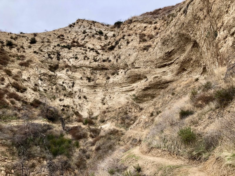 Part of the lower trail. Some really interesting geology here