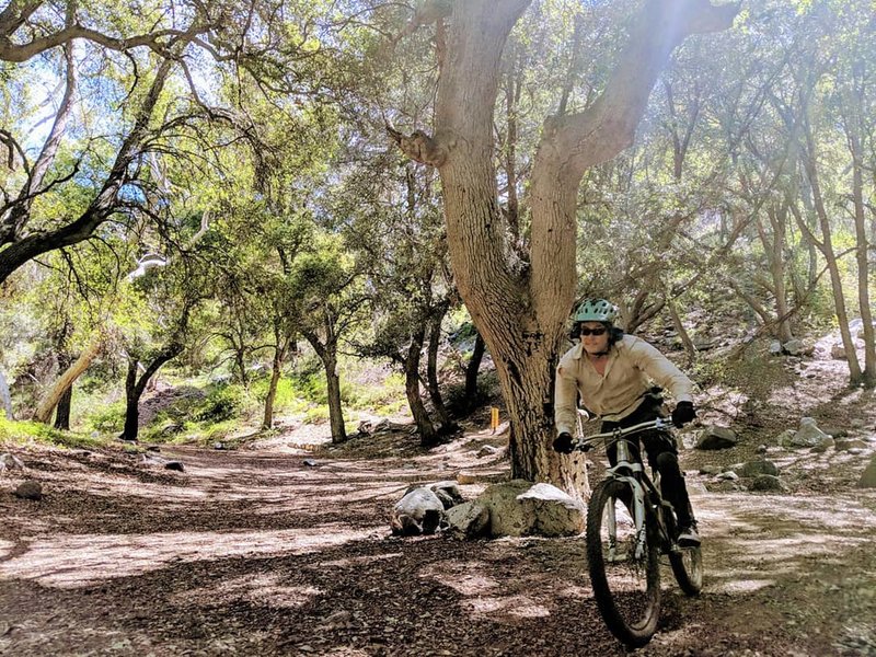 Rolling into idyllic Switzer's Picnic Area after an invigorating ride down from Red Box